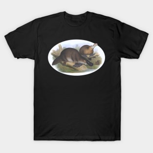 Platypus Australian Animal Illustration T-Shirt